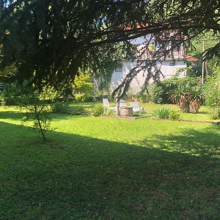 Vila Labod, Unique Villa At The Lake Most Na Soci Luaran gambar